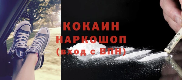 дурь Дмитриев
