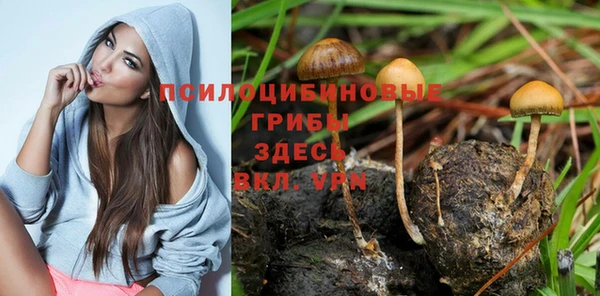 дурь Дмитриев