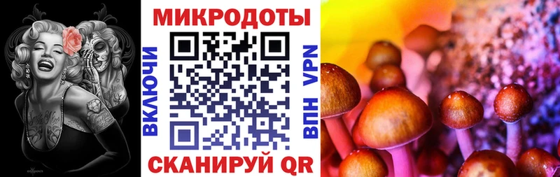 Купить закладки  Игарка  Псилоцибиновые грибы мицелий 