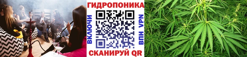 Купить где  Игарка  Шишки марихуана тримм 